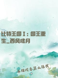 比特王国Ⅰ: 国王重生